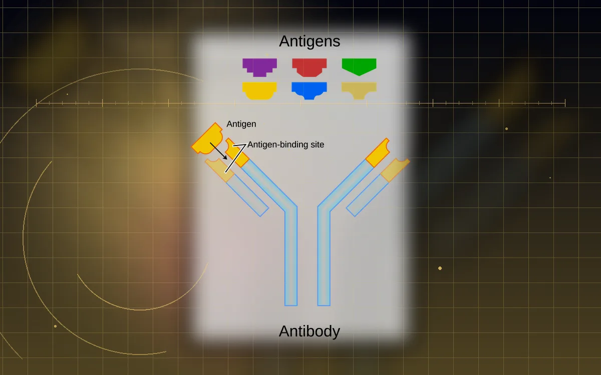 Visual evidence plate for Antibody