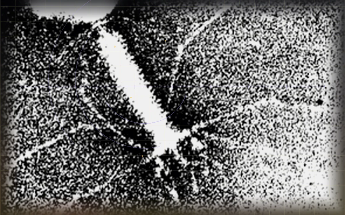 Visual evidence plate for T4 bacteriophage