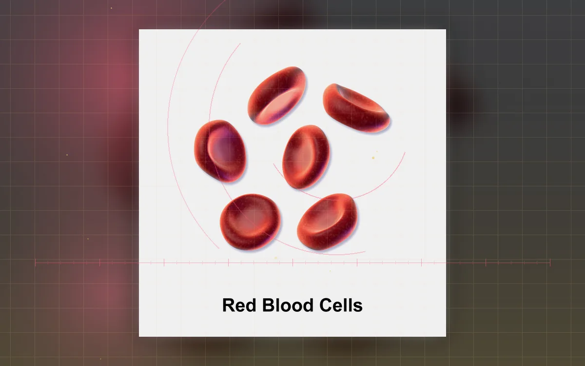Visual evidence plate for Red blood cell