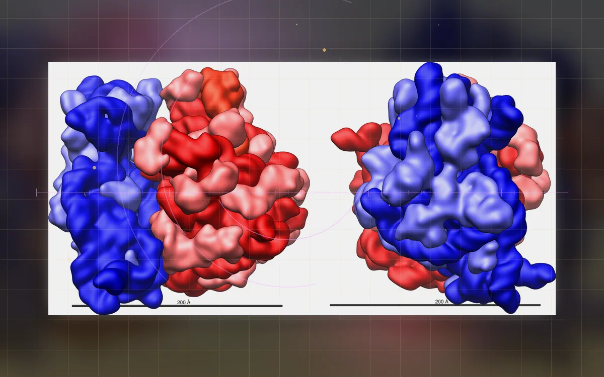 Visual evidence plate for Ribosome