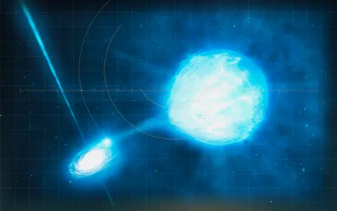Visual evidence plate for Stellar black-hole horizon